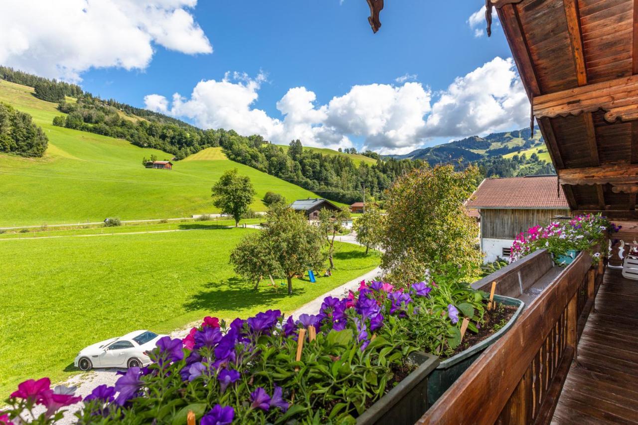 Biobauernhof Stegerbauer Apartment Maria Alm am Steinernen Meer Luaran gambar
